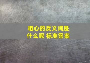 粗心的反义词是什么呢 标准答案